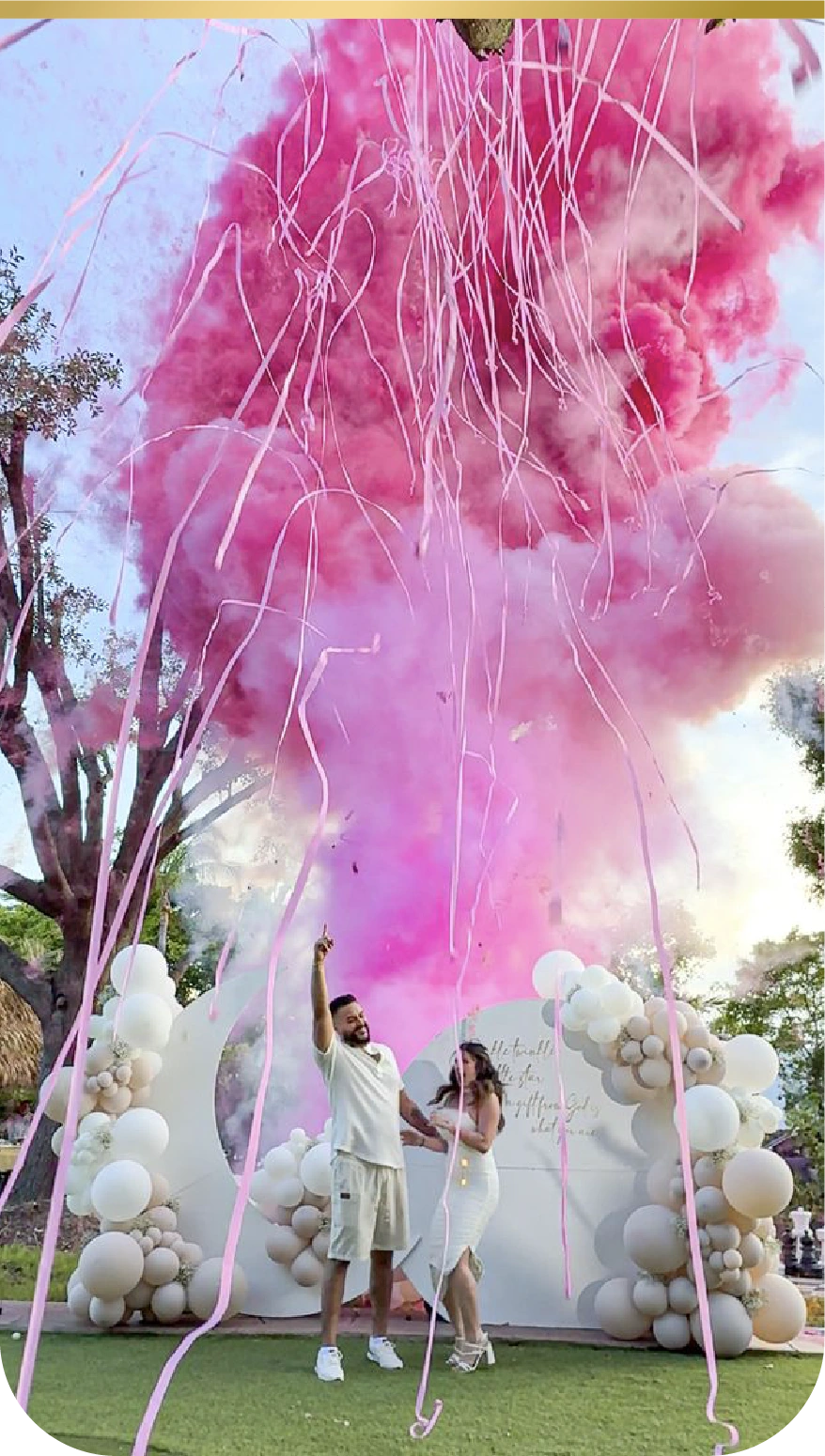 Artificii Gender Reveal — exemplu 5
