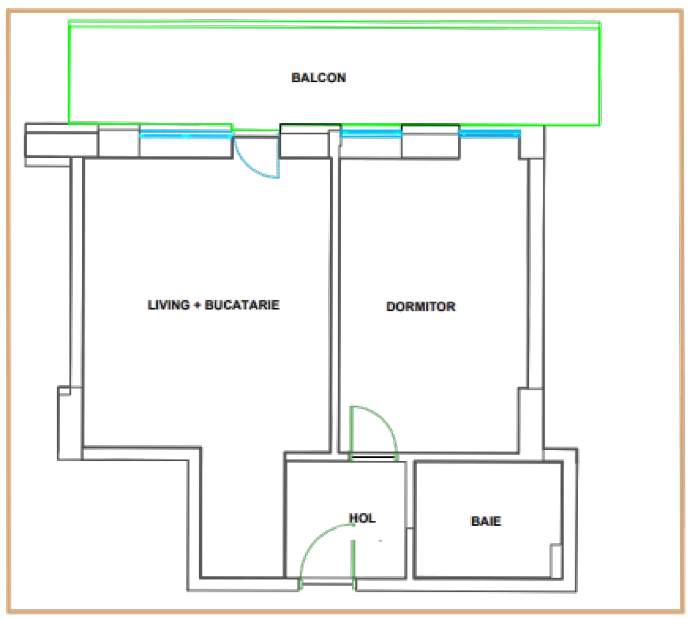 Plan 2 camere C1 / 100